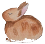 smugbun